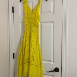 Tahari Eyelet Dress